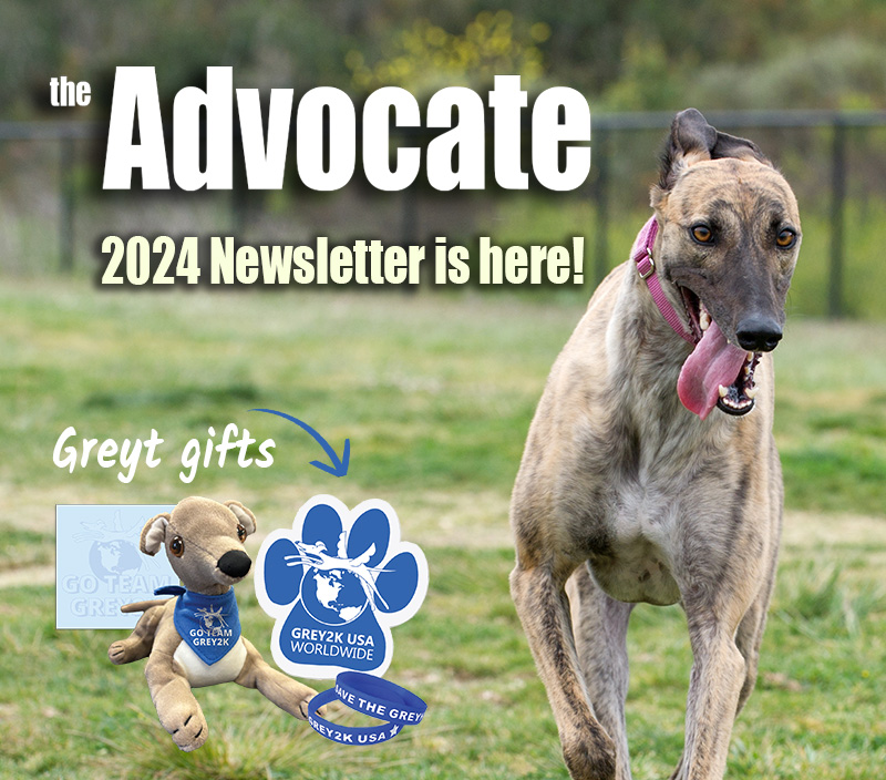 Our annual newsletter has arrived!