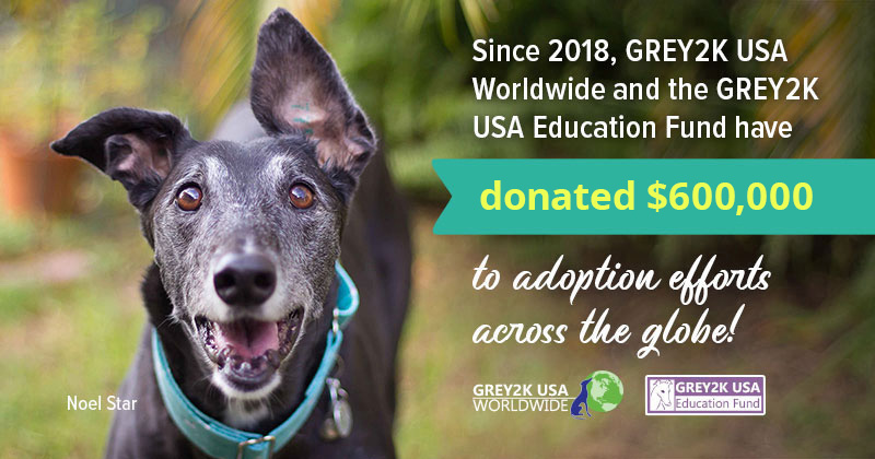 GREY2K has donated $475,000 to adoption efforts across the globe