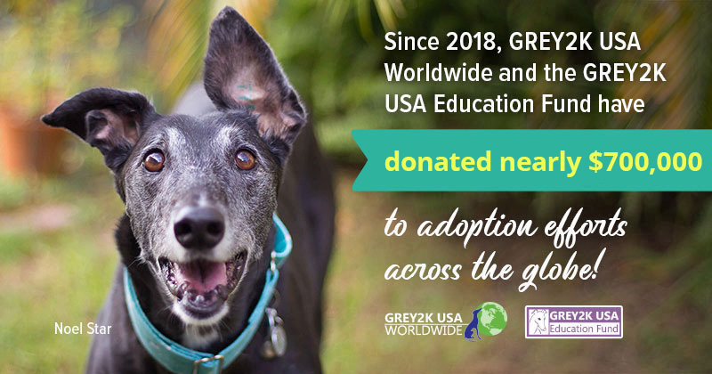 GREY2K has donated $650,000 to adoption efforts across the globe
