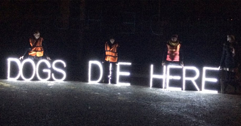 Protesters against greyhound racing at the Curraheen track in Ireland