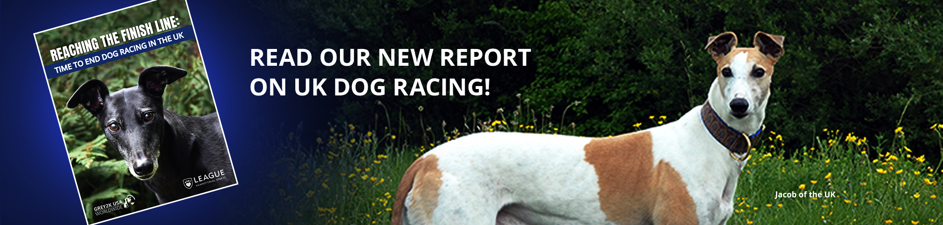 Read our new report on UK dog racing!