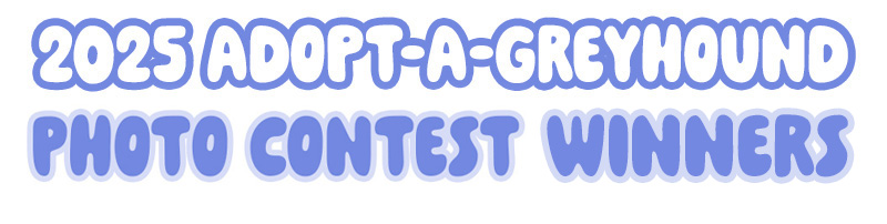 Special Friends Video Contest 2023