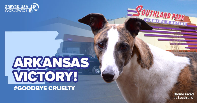 Colorado Bill Signing June 2023