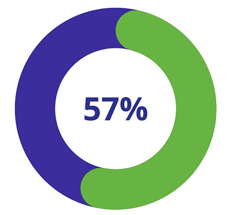 Welsh Survey