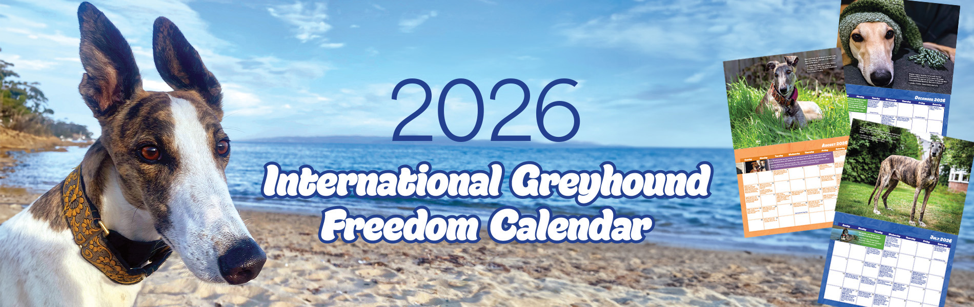 Pre-order the 2026 International Greyhound Freedom Calendar