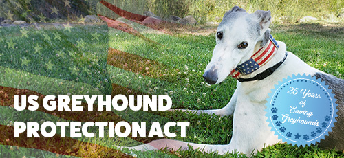 THE GREYHOUND PROTECTION ACT!