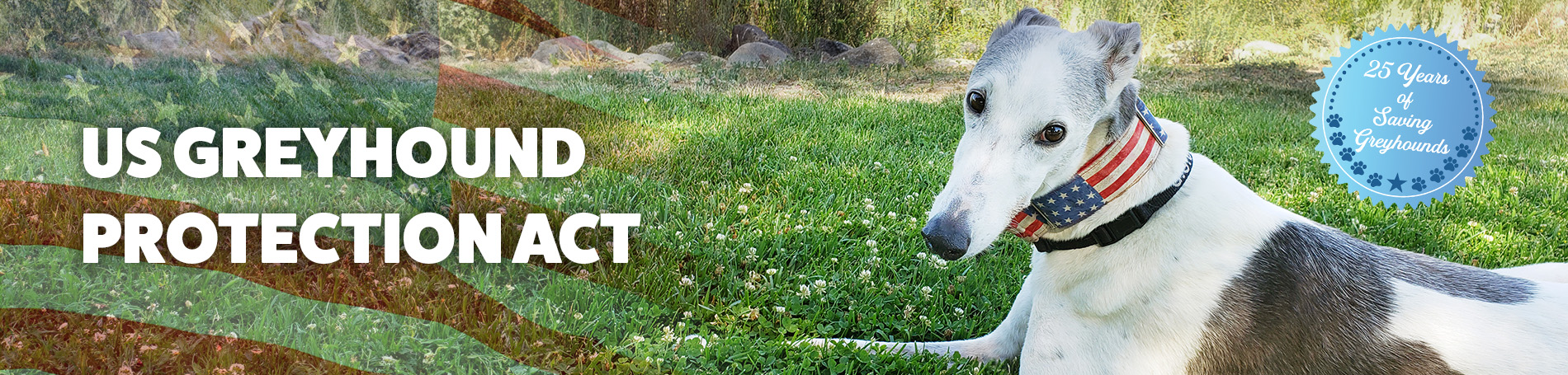 THE GREYHOUND PROTECTION ACT!