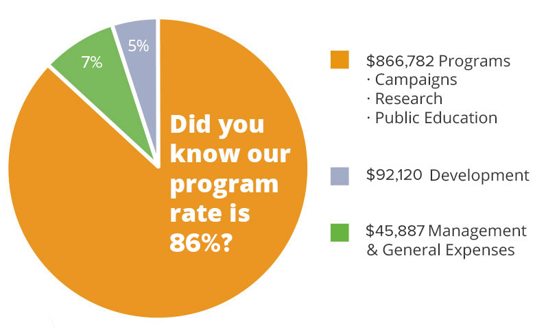 Finances pie chart
