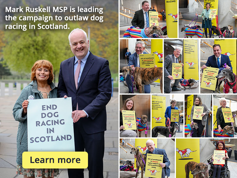 Razing the last dog track in Scotland would ass 5.9 million to UK economy