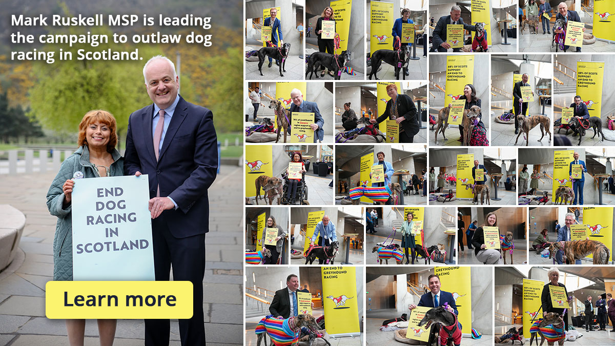 Razing the last dog track in Scotland would ass 5.9 million to UK economy