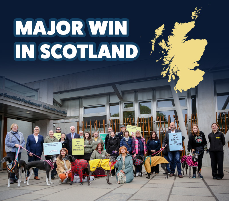 Valentine's Day is near!