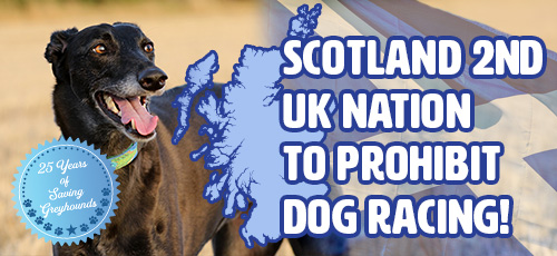 Scotland 2nd UK nation to prohibit dog racing