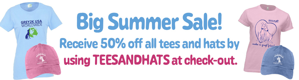 Big Summer Sale - 50% off hats and tees - use code: TEESANDHATS