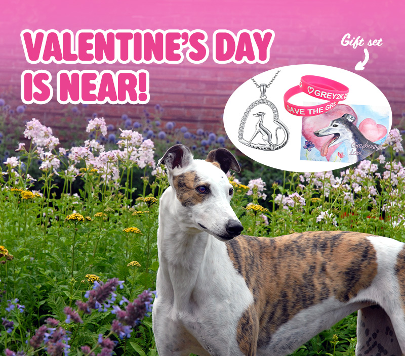 Valentine's Day is near!