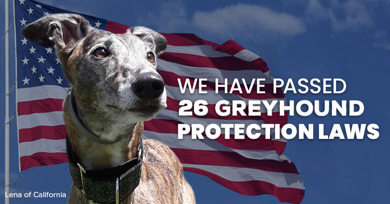 We have passed 25 greyhound protection laws