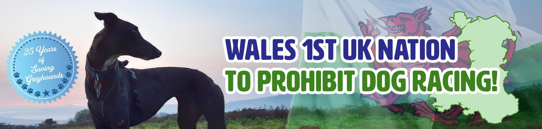 Wales 1st UK nation to prohibit dog racing