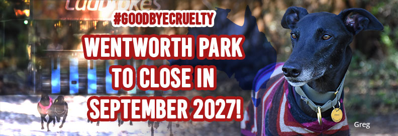 Wentworth Park to be bulldozed