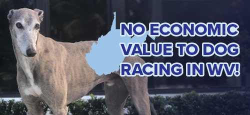 No economic
value to dog racing in WV!
